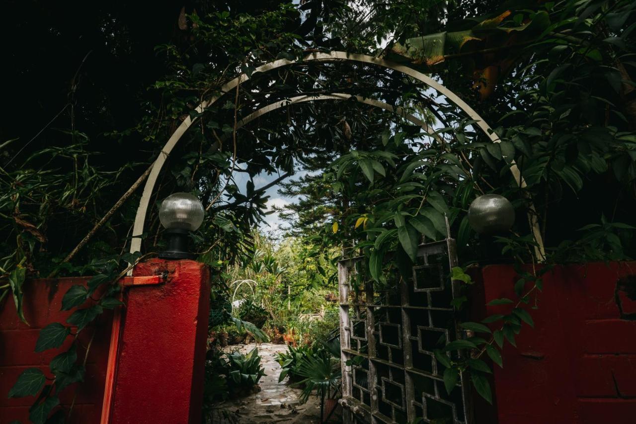 Rock Cliff Home Stay Shillong Exteriör bild